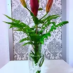 Principado A Appartement